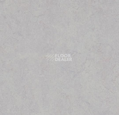 Линолеум Forbo Marmoleum Decibel on Order 388335 moonstone фото 1 | FLOORDEALER